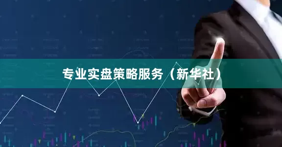 专业实盘策略服务（新华社）