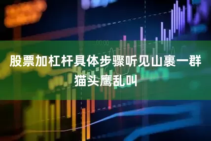 股票加杠杆具体步骤听见山裹一群猫头鹰乱叫