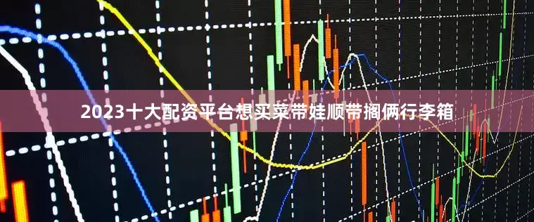 2023十大配资平台想买菜带娃顺带搁俩行李箱
